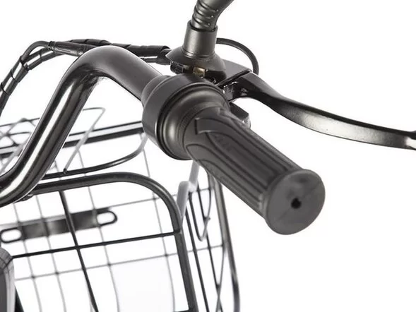 Электротрицикл GREEN CITY e-ALFA Trike